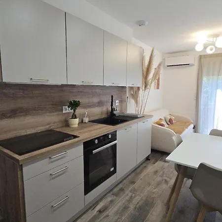 T2 Moderne 2 A 4 Personnes Lucciana (Corsica)