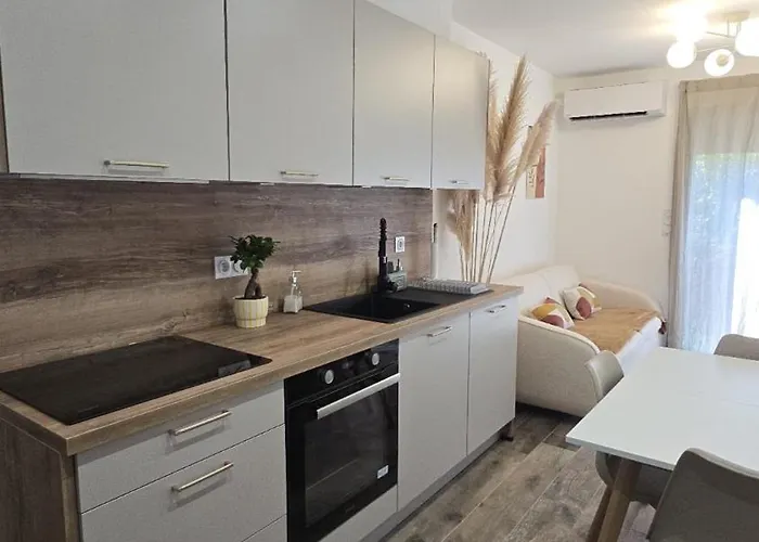 T2 Moderne 2 A 4 Personnes Lucciana (Corsica)